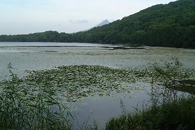 Lake Junsainuma,莼菜沼