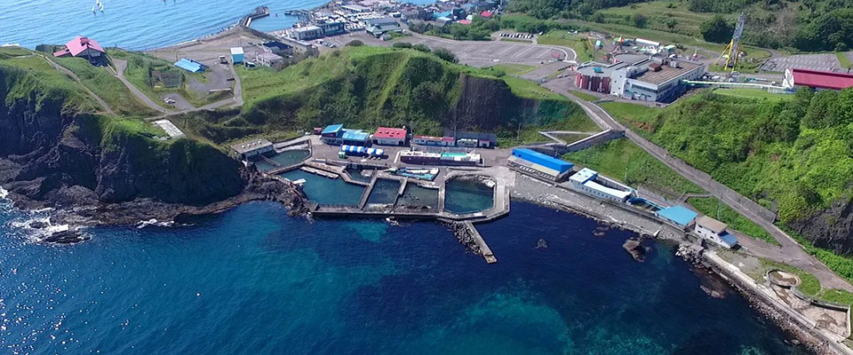 小樽水族馆